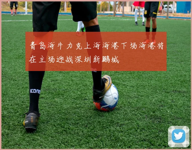 青岛海牛力克上海海港下场海港将在主场迎战深圳新鹏城